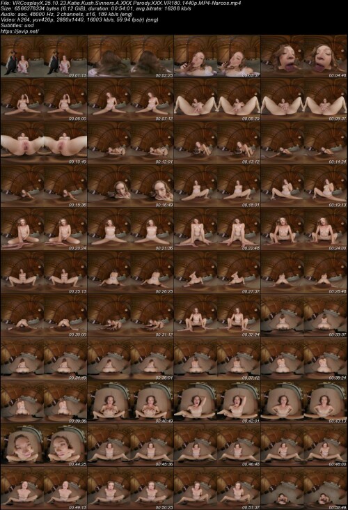 VRCosplayX.25.10.23.Katie.Kush.Sinners.A.XXX.Parody.XXX.VR180.1440p.MP4-Narcos.jpg
